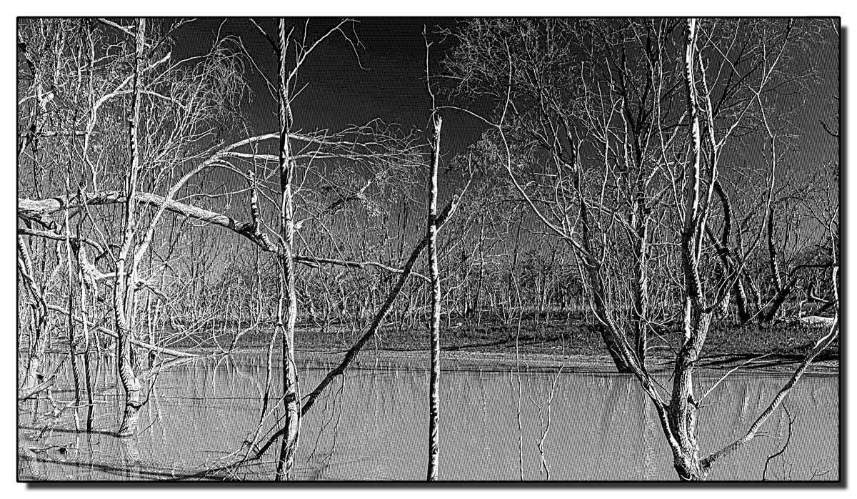 Click image for larger version

Name:	Kinchega National Park (India Ink).jpg
Views:	78
Size:	273.7 KB
ID:	506843