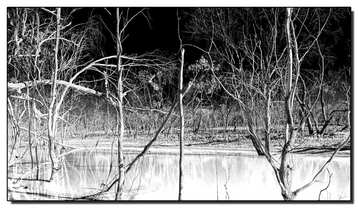 Click image for larger version

Name:	Kinchega National Park (Infra Red).jpg
Views:	88
Size:	251.3 KB
ID:	506844