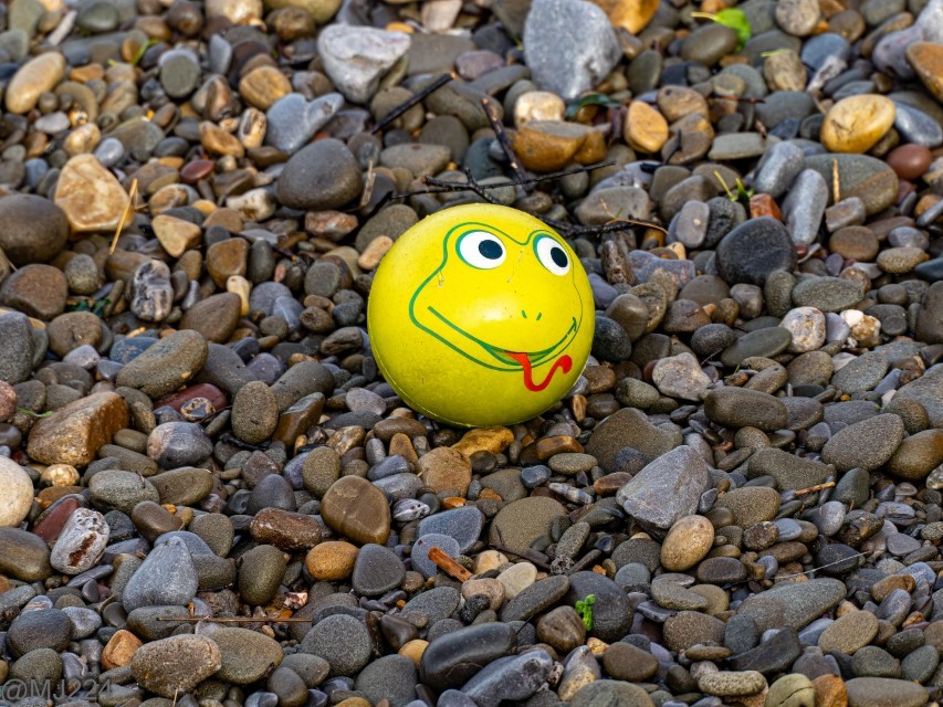 Click image for larger version

Name:	P2182027-ORF_DxO_DeepPRIME-Edit (Custom).jpg
Views:	73
Size:	267.0 KB
ID:	506951