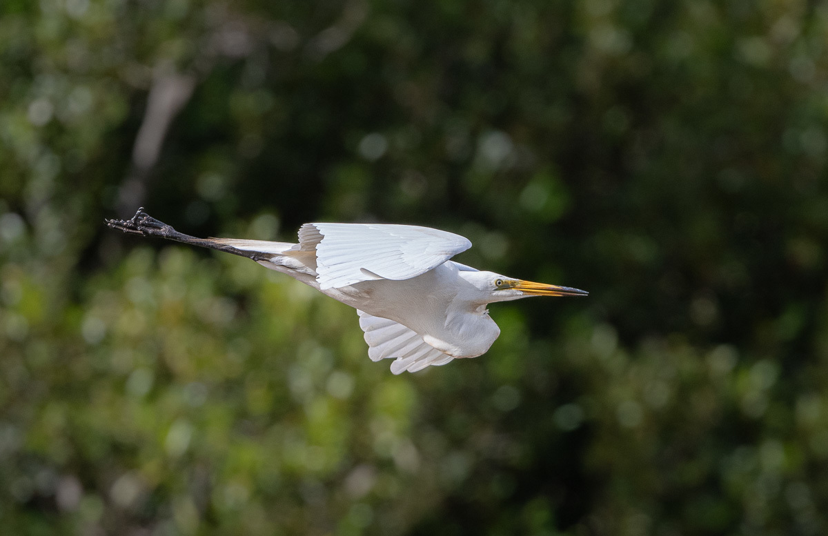 Click image for larger version

Name:	20240308_Eagleby_0033.jpg
Views:	63
Size:	226.0 KB
ID:	507322