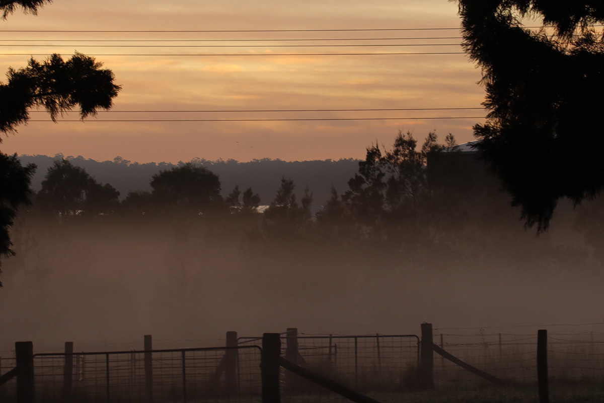 Click image for larger version

Name:	Foggy OCC.jpg
Views:	60
Size:	205.8 KB
ID:	508045