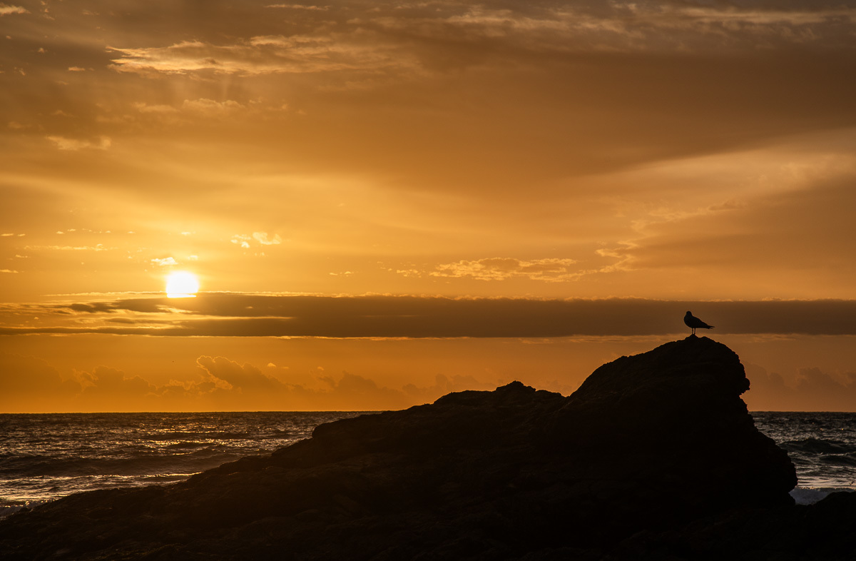Click image for larger version

Name:	20240726_Coffs_Harbour_0191.jpg
Views:	94
Size:	203.2 KB
ID:	508957