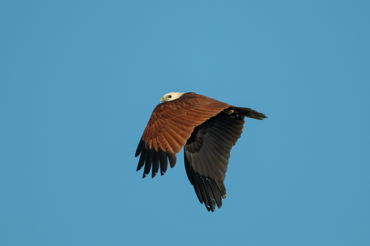 Click image for larger version

Name:	20240902_Deepwater_NP_0108.jpg
Views:	56
Size:	185.8 KB
ID:	509822