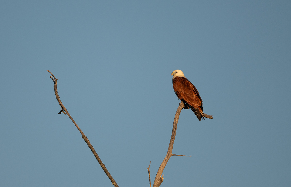 Click image for larger version

Name:	20240902_Deepwater_NP_0107.jpg
Views:	45
Size:	213.6 KB
ID:	509823
