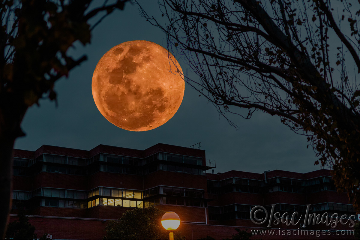 Click image for larger version

Name:	8245-Harvest_Moon.jpg
Views:	63
Size:	317.9 KB
ID:	509937