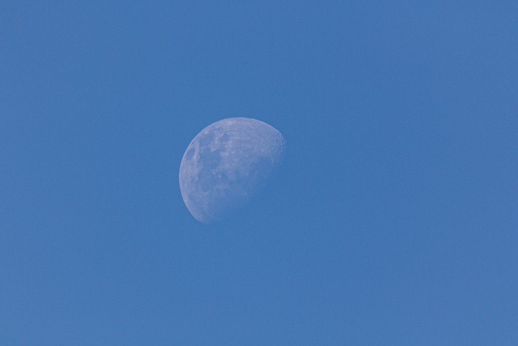 Click image for larger version

Name:	73% Moon.jpg
Views:	193
Size:	68.4 KB
ID:	469121