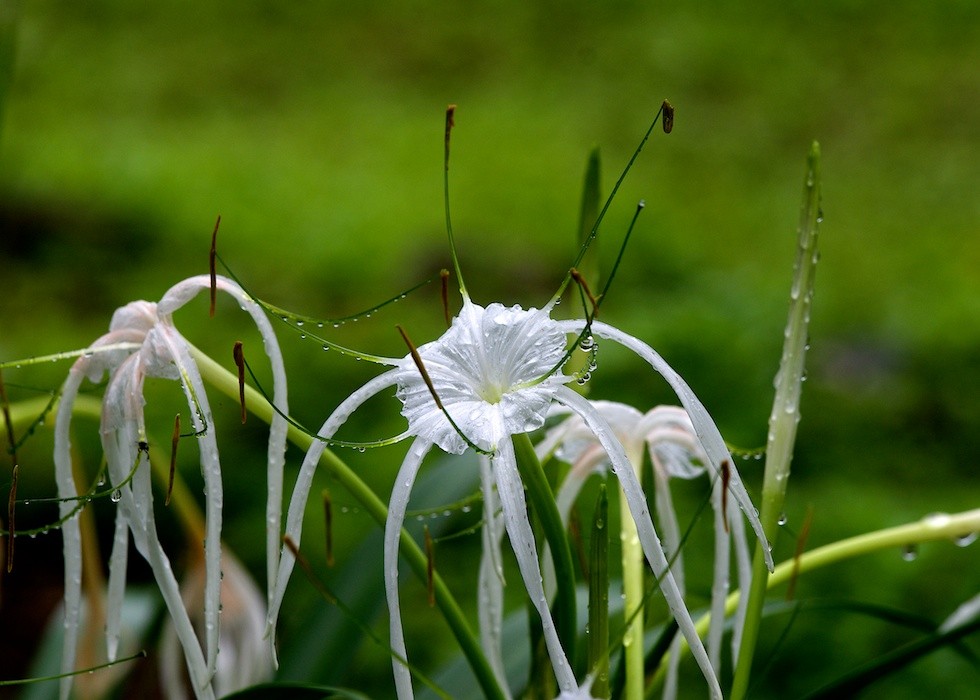Click image for larger version

Name:	DSC_8785.jpg
Views:	55
Size:	132.4 KB
ID:	462427