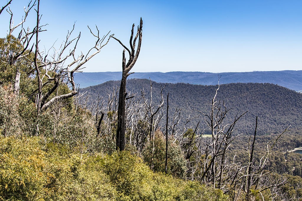 Click image for larger version

Name:	Keppel Lookout.jpg
Views:	89
Size:	328.4 KB
ID:	467479