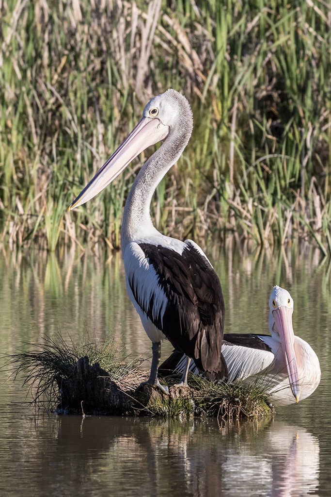 Click image for larger version

Name:	Mildura Trip 2019_0070.jpg
Views:	37
Size:	231.3 KB
ID:	466935