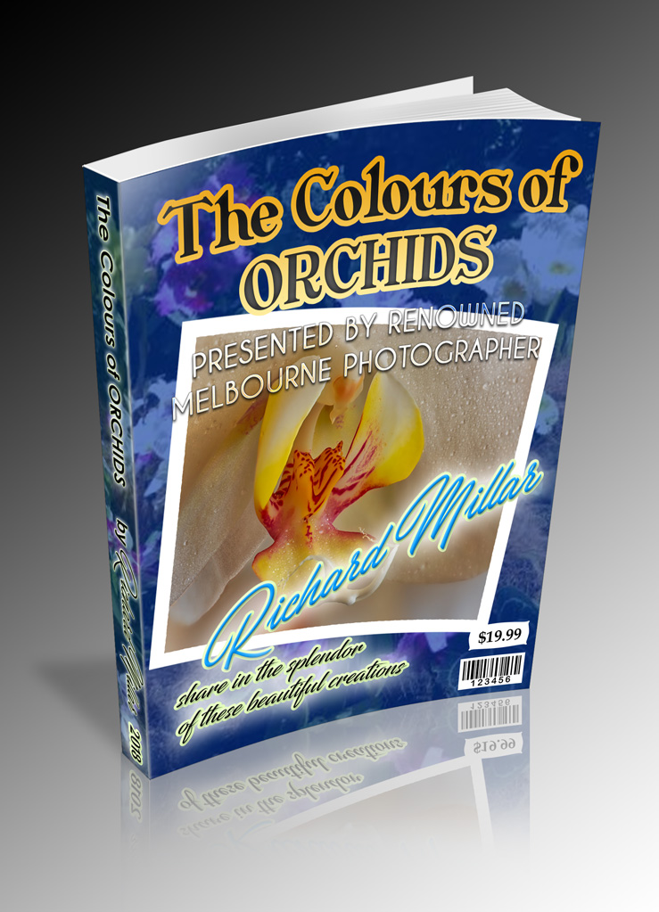 Click image for larger version

Name:	Orchid-PaperBack-Richard-Millar.jpg
Views:	319
Size:	234.9 KB
ID:	449476