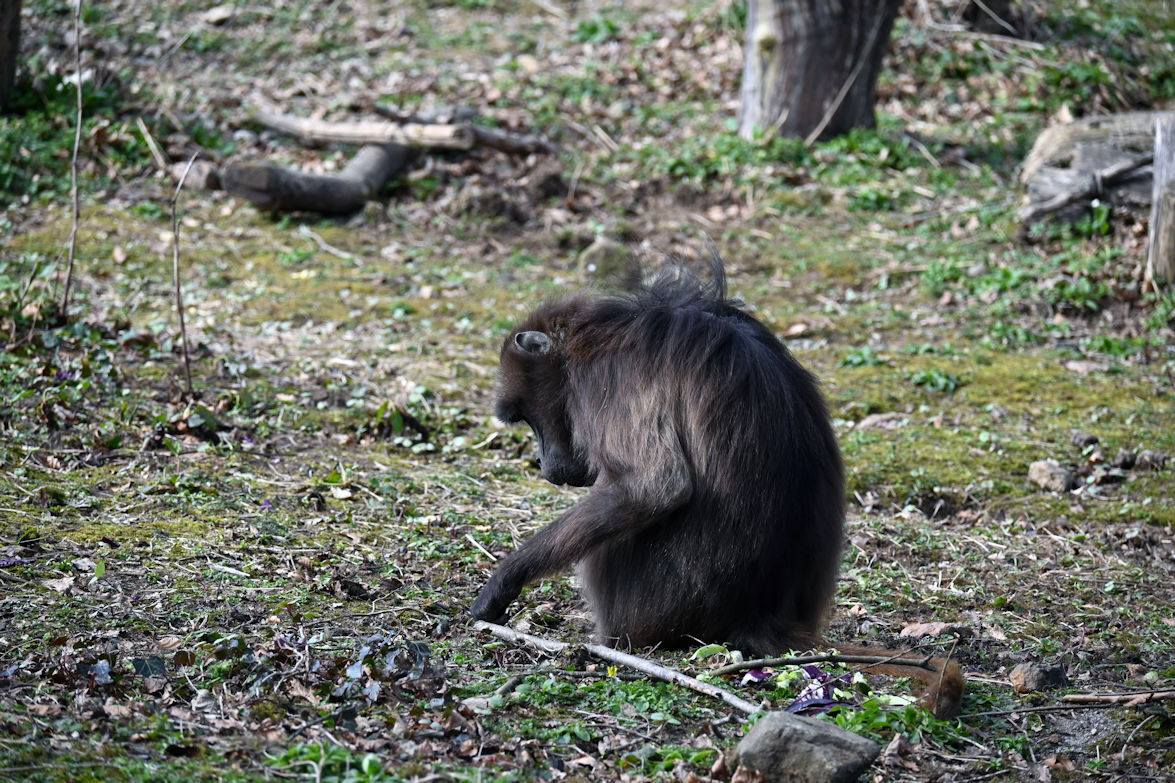 Click image for larger version

Name:	DSC_0931a.jpg
Views:	21
Size:	330.1 KB
ID:	512043