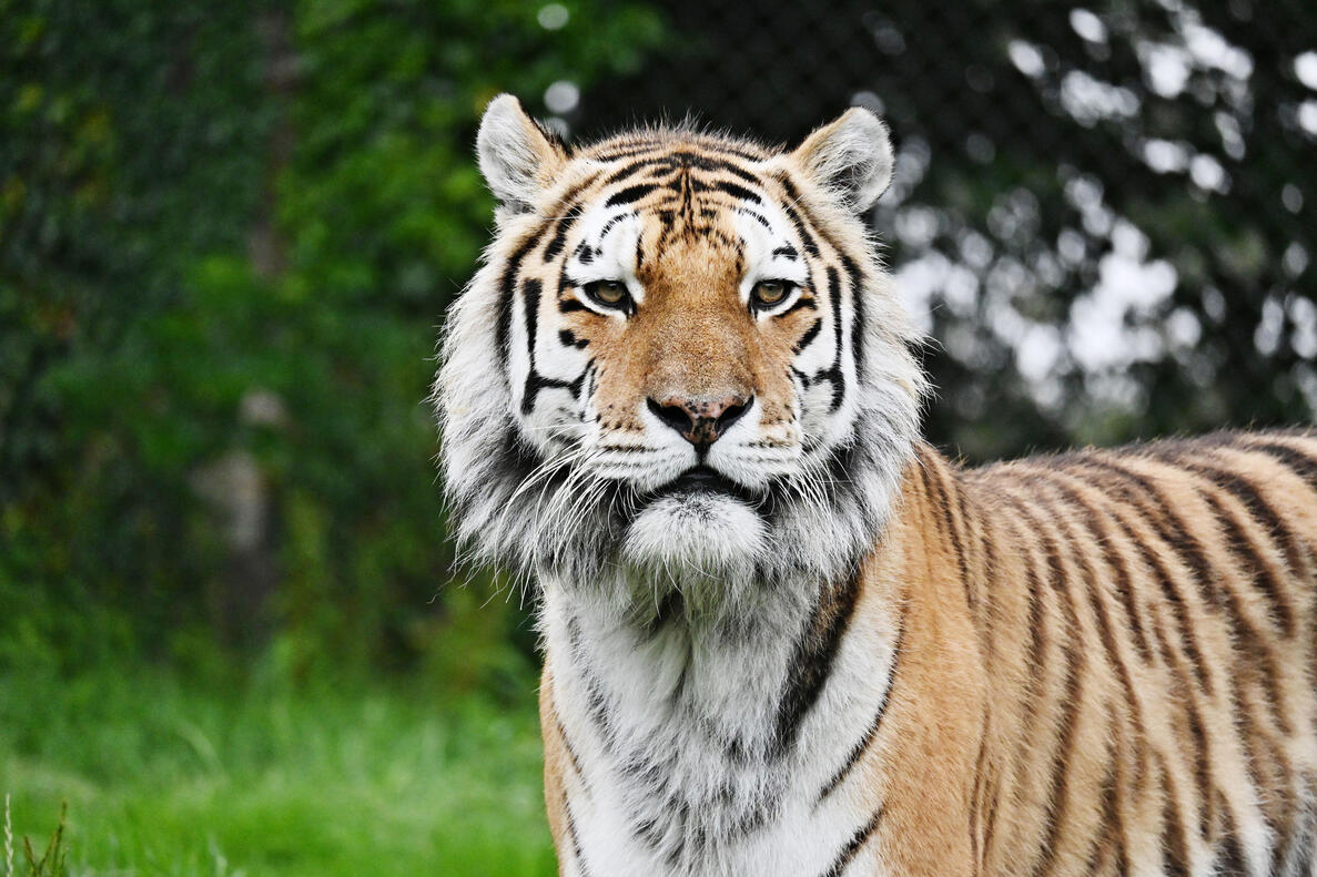 Click image for larger version

Name:	DSC_3452  use.jpg
Views:	17
Size:	195.9 KB
ID:	512961