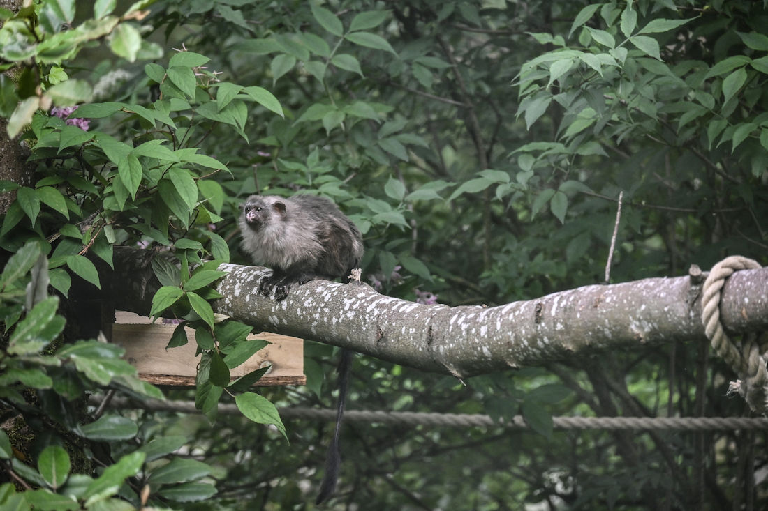 Click image for larger version

Name:	DSC_3831 copy 2.jpg
Views:	6
Size:	182.6 KB
ID:	513100
