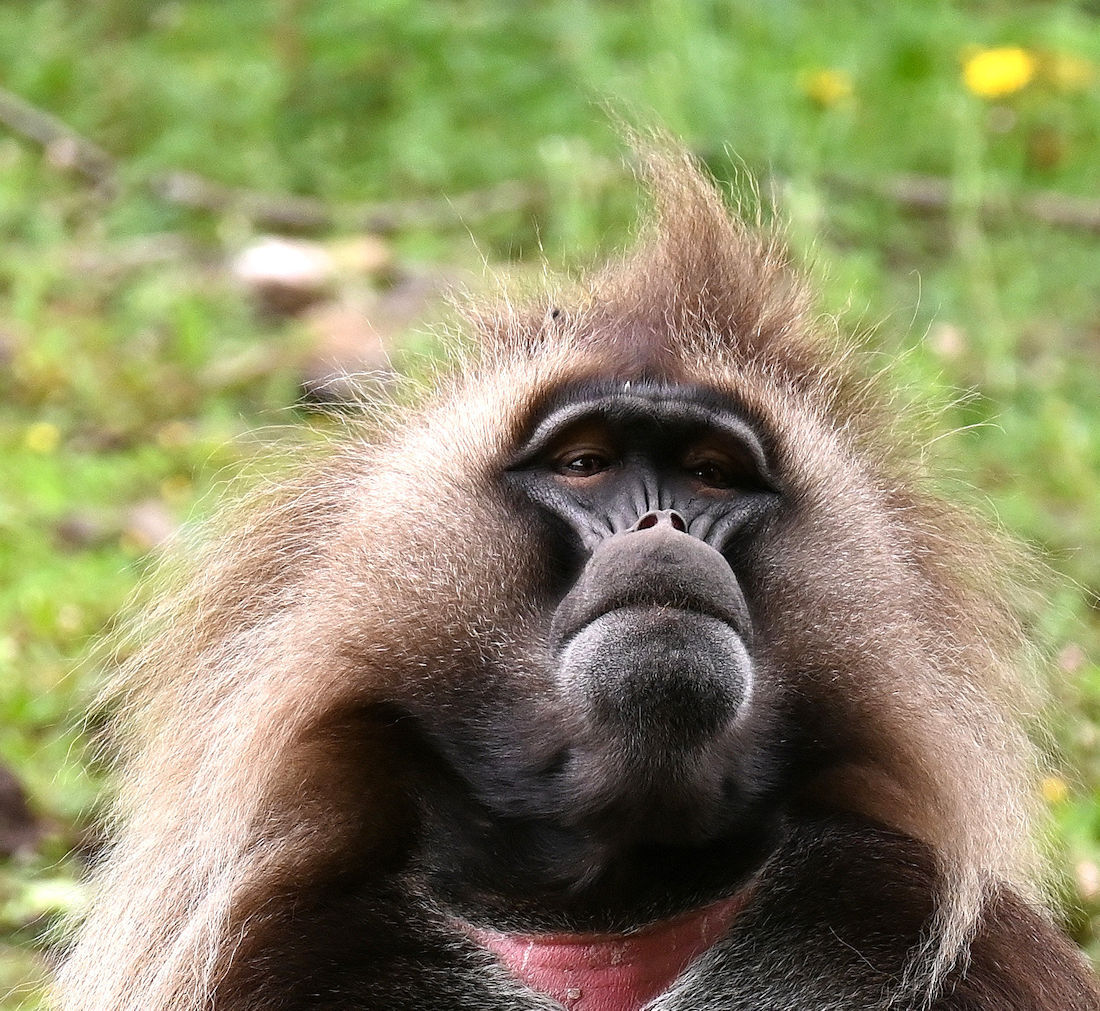 Click image for larger version

Name:	DSC_3883 copy 2.jpg
Views:	6
Size:	311.6 KB
ID:	513103