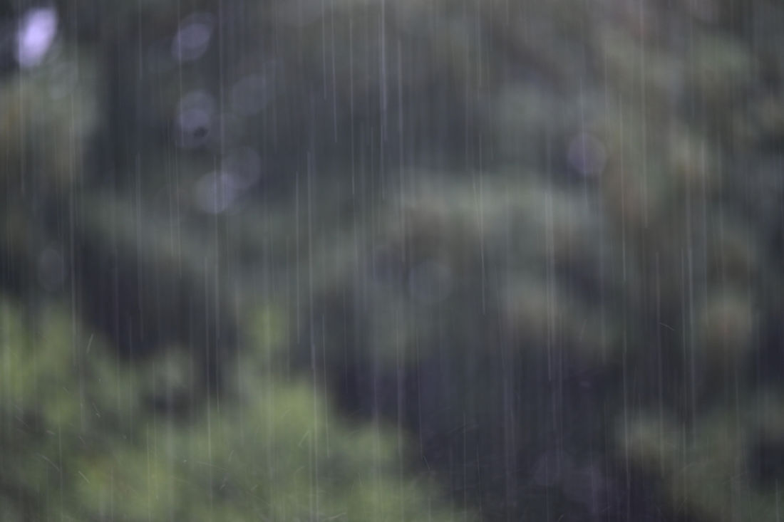 Click image for larger version  Name:	DSC_4050 copy.jpg Views:	0 Size:	63.9 KB ID:	513112
