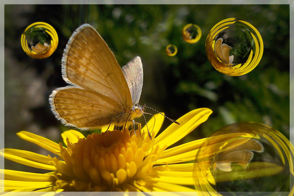 Click image for larger version

Name:	11490617025_3299e282f4_o.jpg
Views:	22
Size:	237.3 KB
ID:	513644
