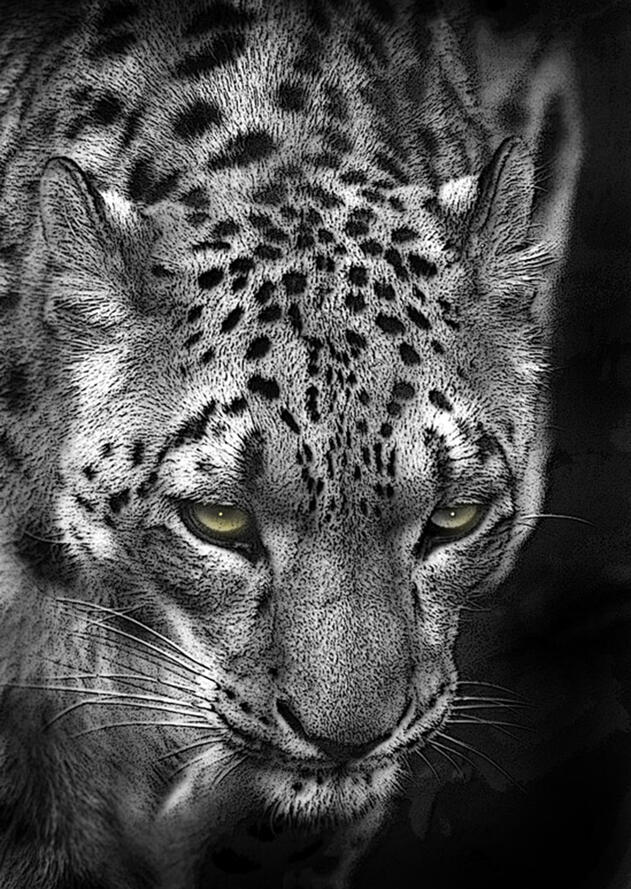 Click image for larger version

Name:	Leopard 2 PH.jpg
Views:	27
Size:	171.9 KB
ID:	514476