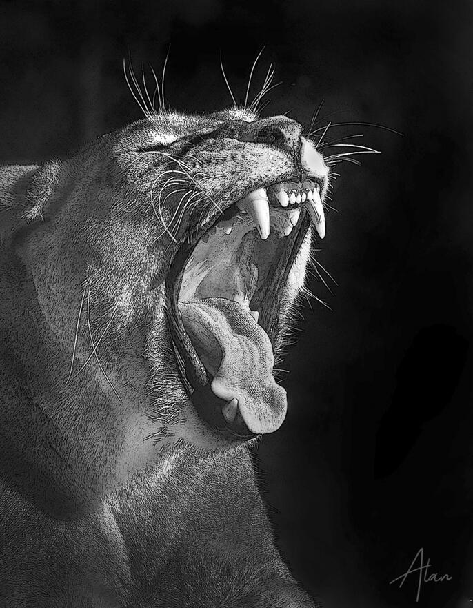 Click image for larger version

Name:	Lion Mouth 1 IG.jpg
Views:	19
Size:	132.6 KB
ID:	514478