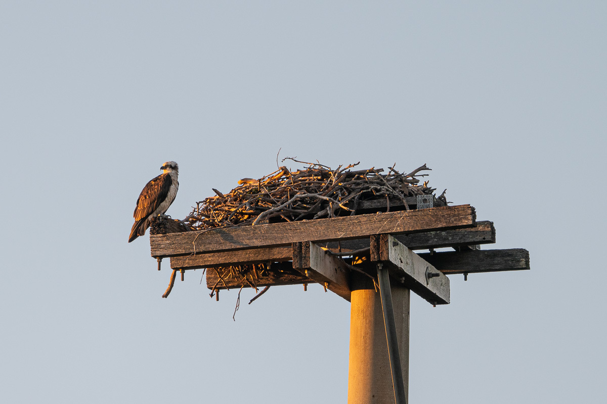 Click image for larger version  Name:	20250725_Sandy_Camp_Rd_0009.jpg Views:	0 Size:	222.2 KB ID:	515156
