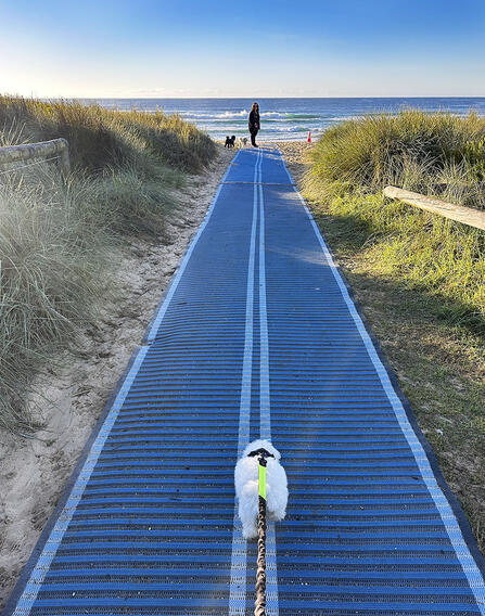 Click image for larger version

Name:	Cotton Walk PH.jpg
Views:	19
Size:	98.9 KB
ID:	515176