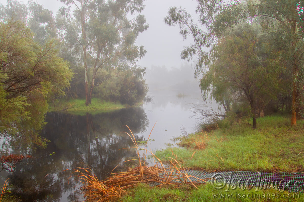 Click image for larger version

Name:	1942-Fog.jpg
Views:	33
Size:	311.6 KB
ID:	515225