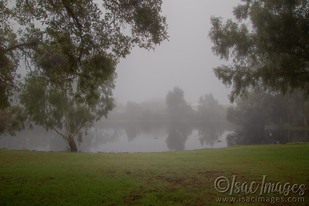 Click image for larger version

Name:	1932-Fog.jpg
Views:	26
Size:	321.1 KB
ID:	515227