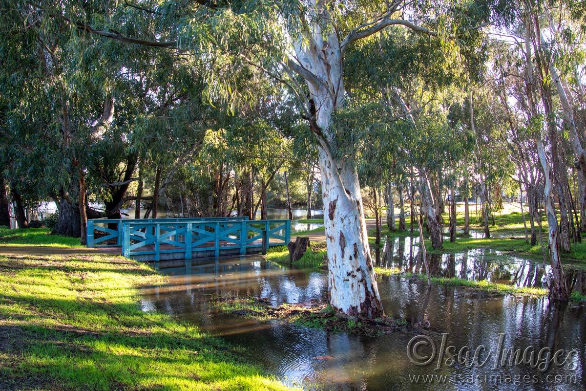 Click image for larger version

Name:	2132-Lake-Flood.jpg
Views:	27
Size:	292.3 KB
ID:	515231