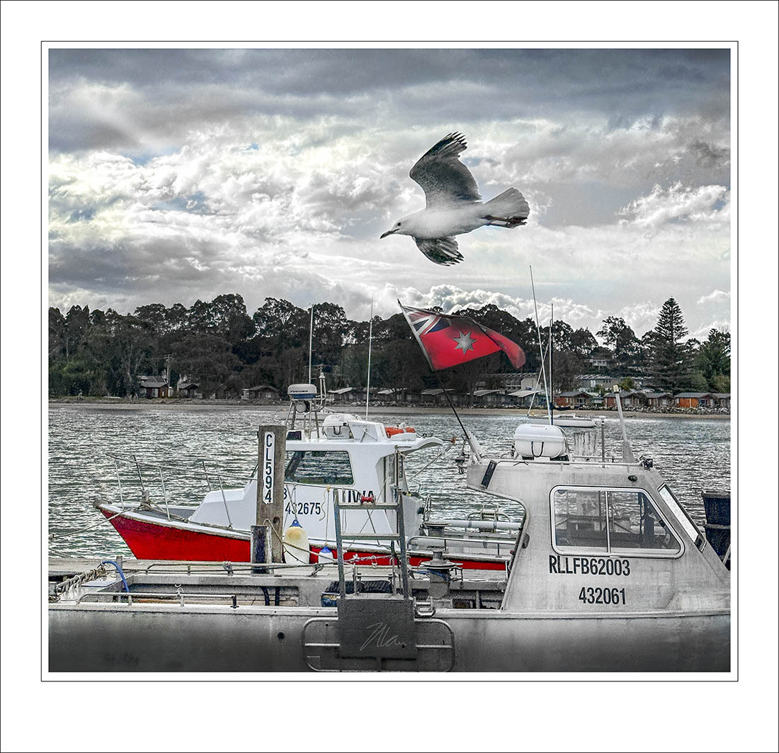 Click image for larger version

Name:	Touch of Red - BIF PH.jpg
Views:	15
Size:	303.1 KB
ID:	515449