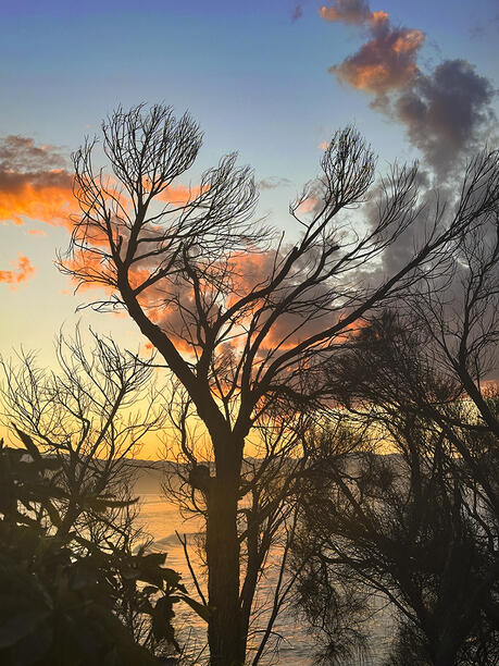 Click image for larger version

Name:	Tuesday Sunset 2 PH.jpg
Views:	18
Size:	116.9 KB
ID:	515692