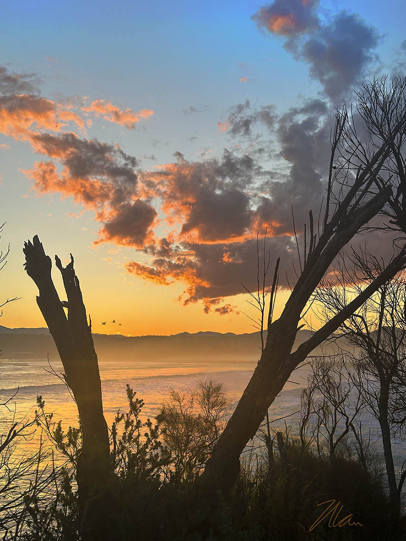 Click image for larger version

Name:	Tuesday Sunset 3 PH.jpg
Views:	18
Size:	254.6 KB
ID:	515693