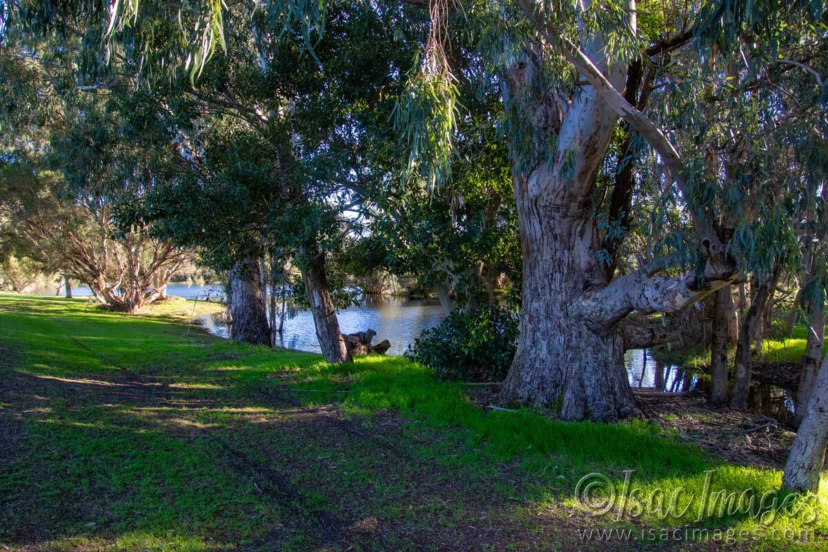 Click image for larger version

Name:	2289-Lakeside.jpg
Views:	8
Size:	296.7 KB
ID:	515834