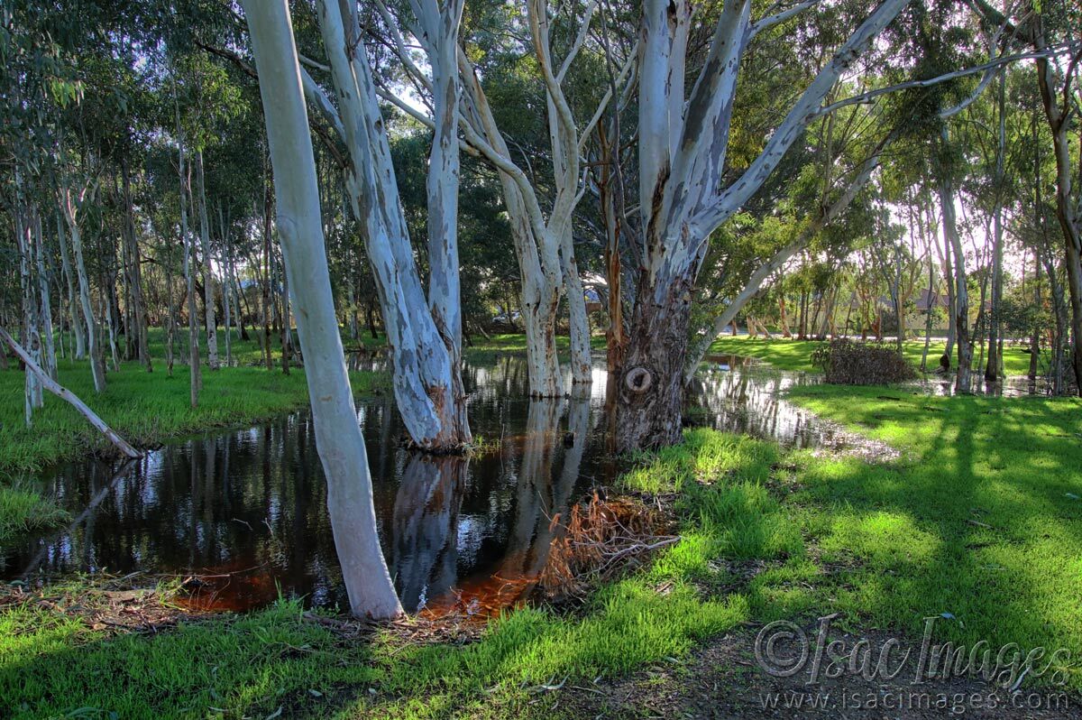 Click image for larger version  Name:	2676_Lake_HDR.jpg Views:	6 Size:	297.3 KB ID:	516098