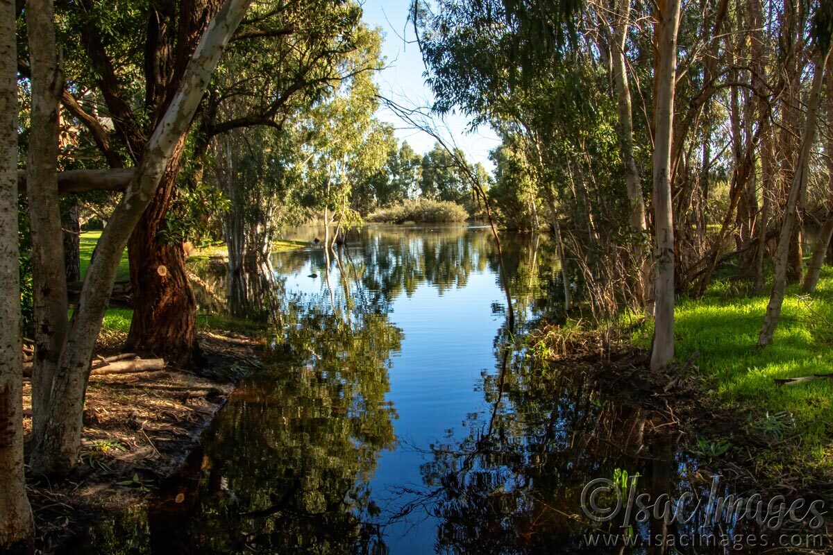 Click image for larger version

Name:	2709-Lake.jpg
Views:	13
Size:	297.5 KB
ID:	516120