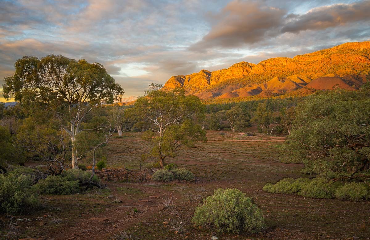 Click image for larger version

Name:	20250810_Flinders_Ranges_0015.jpg
Views:	13
Size:	283.6 KB
ID:	516287