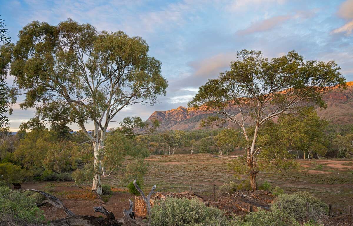 Click image for larger version

Name:	20250810_Flinders_Ranges_0013.jpg
Views:	12
Size:	303.6 KB
ID:	516288