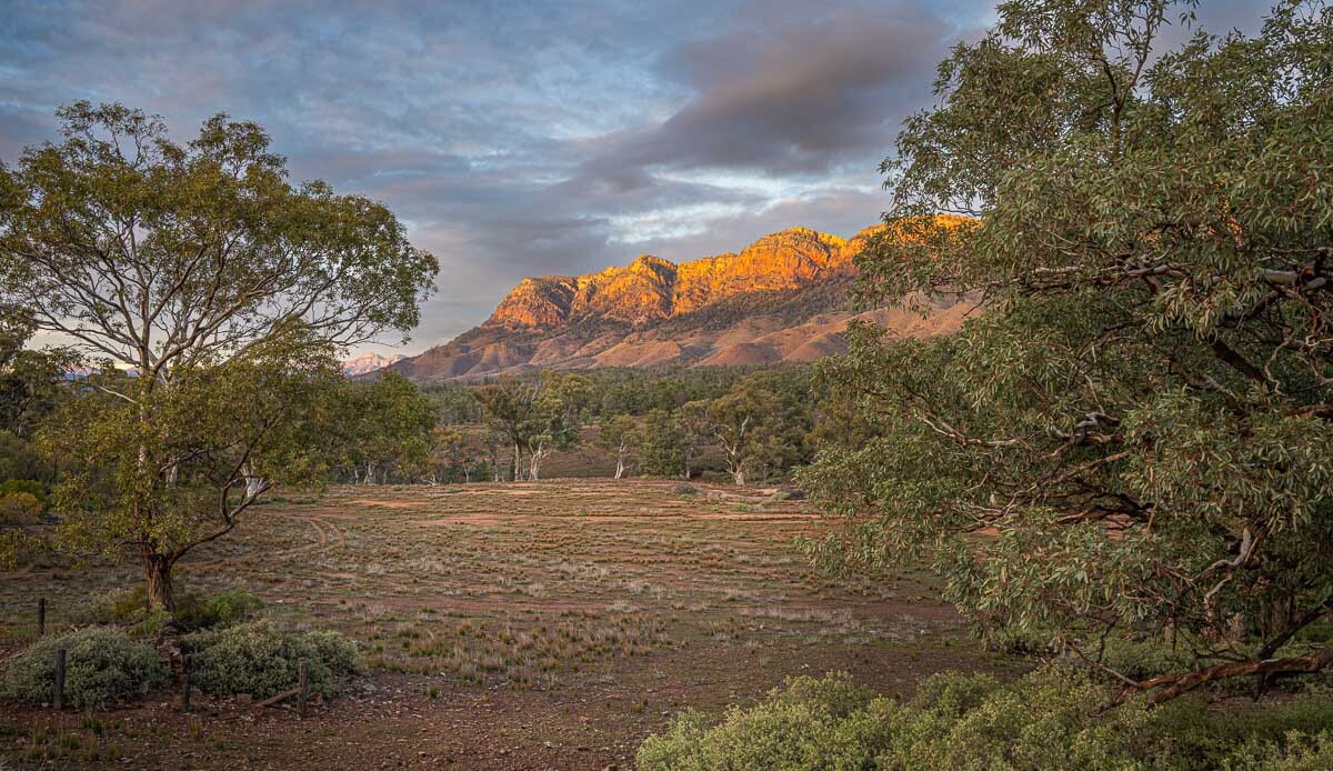 Click image for larger version

Name:	20250810_Flinders_Ranges_0014.jpg
Views:	12
Size:	297.2 KB
ID:	516289