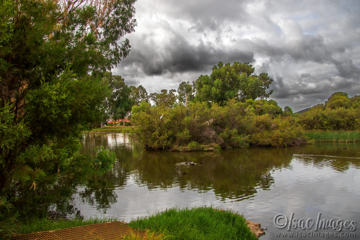 Click image for larger version

Name:	6572-Egret-18mm.jpg
Views:	20
Size:	306.4 KB
ID:	519975