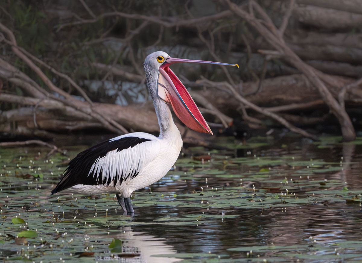 Click image for larger version

Name:	20260406_Tygum_Park_0001.jpg
Views:	30
Size:	258.8 KB
ID:	520616