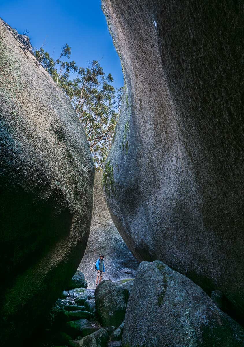 Click image for larger version

Name:	20260425_Bald_Rock_0059.jpg
Views:	4
Size:	319.7 KB
ID:	520803