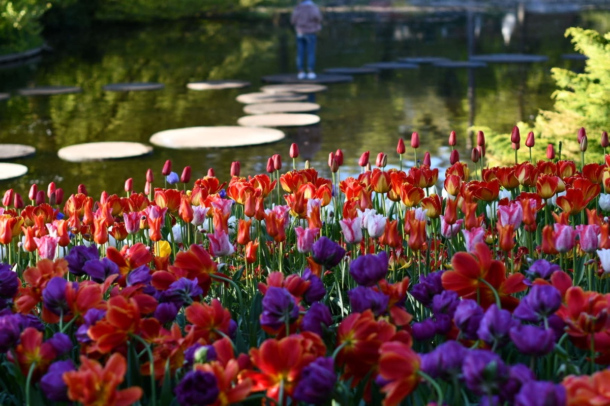 Click image for larger version

Name:	DSC_2039.jpg
Views:	0
Size:	272.5 KB
ID:	521051