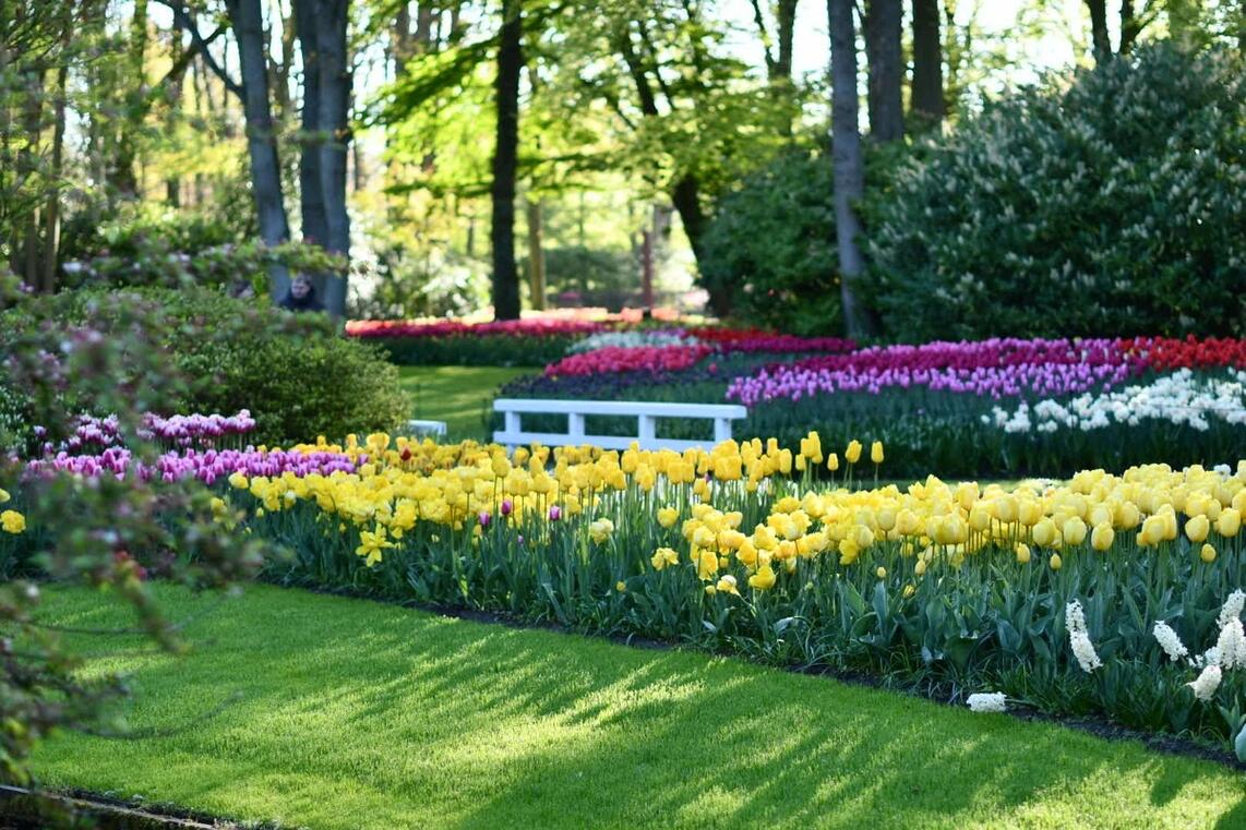 Click image for larger version

Name:	DSC_2048.jpg
Views:	0
Size:	190.3 KB
ID:	521053