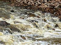 Click image for larger version

Name:	crk.jpg
Views:	91
Size:	298.3 KB
ID:	322235