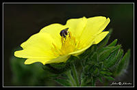 Click image for larger version

Name:	IMGP2757.jpg
Views:	55
Size:	126.6 KB
ID:	324531