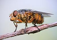 Click image for larger version

Name:	IMG_2960_sml.jpg
Views:	64
Size:	60.3 KB
ID:	324860
