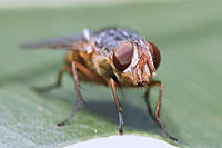 Click image for larger version

Name:	IMG_2970_sml.jpg
Views:	66
Size:	349.5 KB
ID:	324861