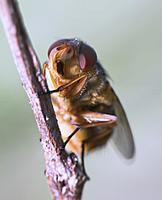 Click image for larger version

Name:	IMG_2968_sml.jpg
Views:	75
Size:	49.7 KB
ID:	324862