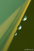 Click image for larger version

Name:	IMGP3241ggggsigned.jpg
Views:	77
Size:	242.7 KB
ID:	324934