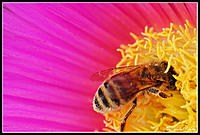 Click image for larger version

Name:	DP2010.10.17 (49) SP.jpg
Views:	57
Size:	153.0 KB
ID:	328686