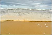 Click image for larger version

Name:	D70_5968.jpg
Views:	67
Size:	61.5 KB
ID:	331871