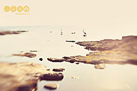 Click image for larger version

Name:	IMG_1417RickettsPointWeb.jpg
Views:	98
Size:	156.4 KB
ID:	331996